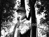 Paul Rodgers / michaeljmcgee.com