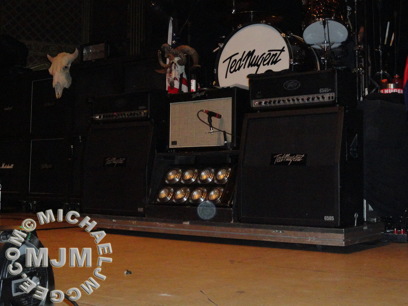 Ted Nugent / michaeljmcgee.com